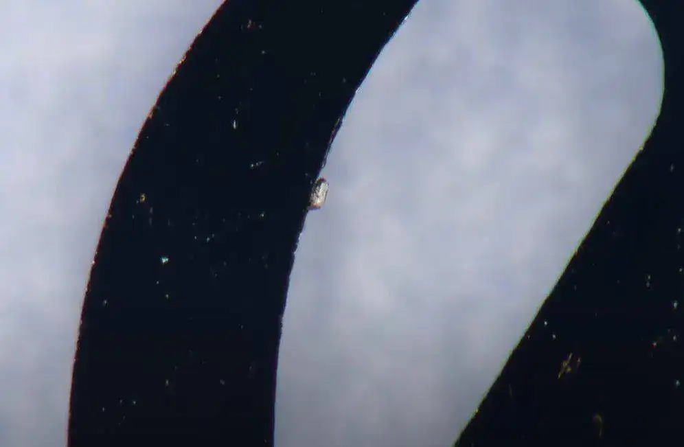 Captura de pantalla 2021-05-12 112359.webp