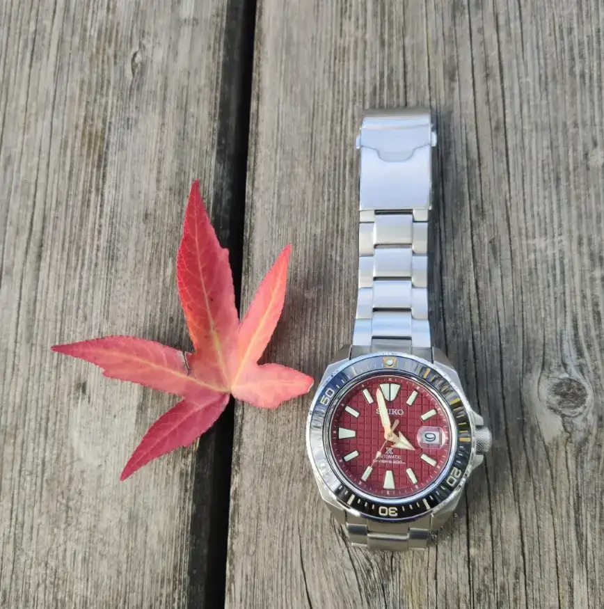 Captura de pantalla 2023-11-04 a las 12.56.10.webp