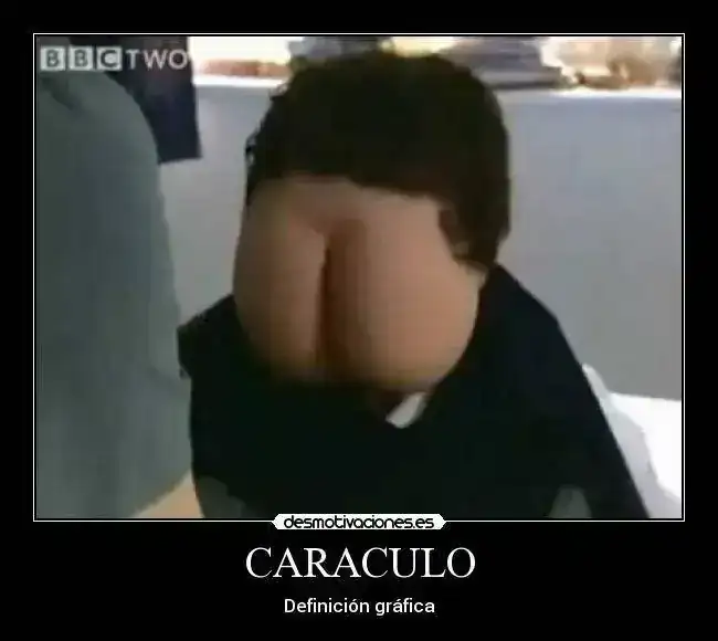 caraculo_4.webp
