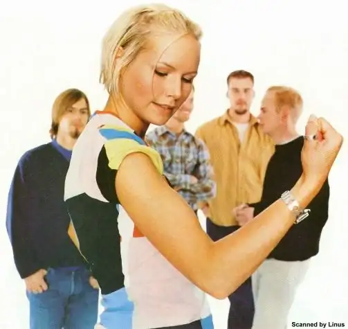 cardigans_pop.webp