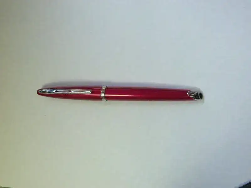 Carene encapuchada.webp