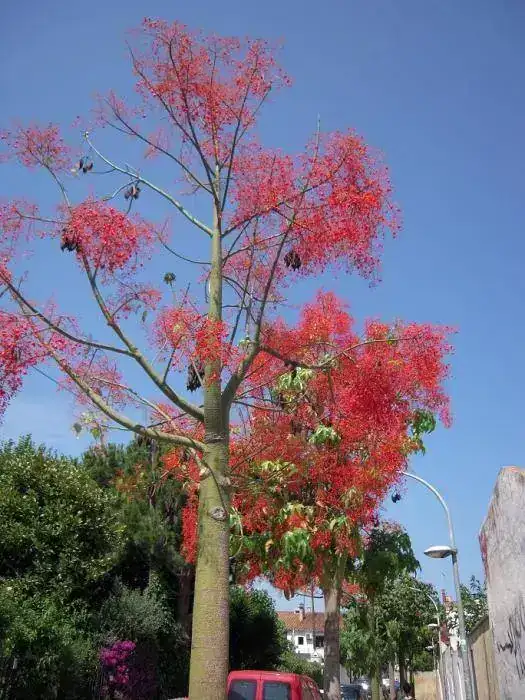 carrer Jardins2.webp