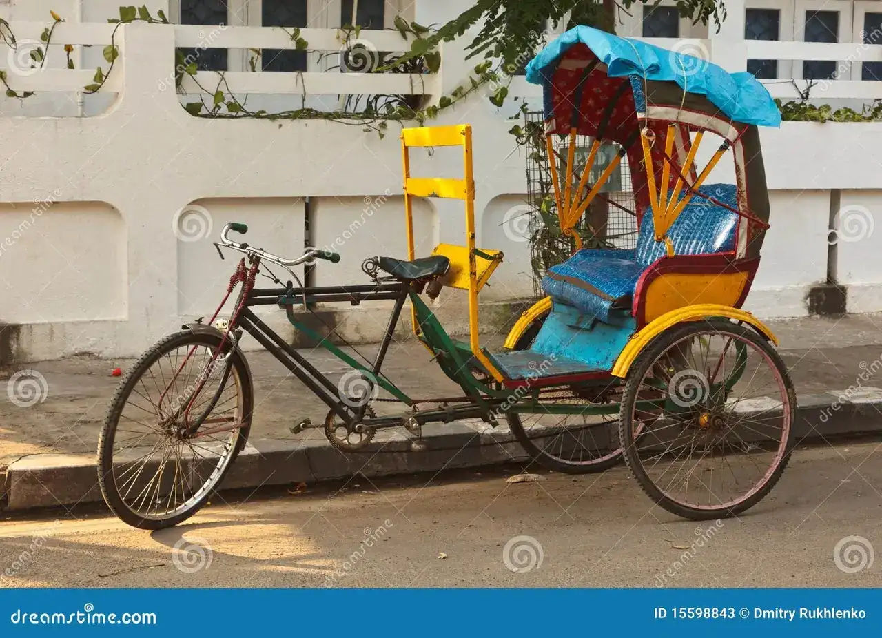 carrito-de-la-bicicleta-15598843.webp
