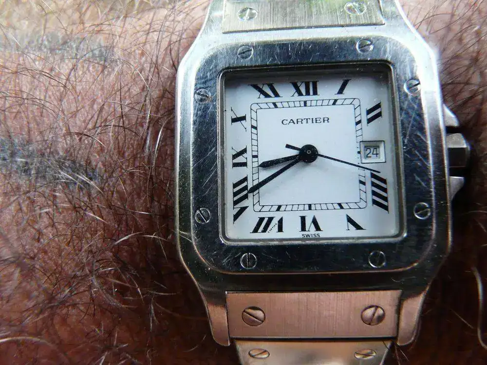 CARTIER SANTOS.webp