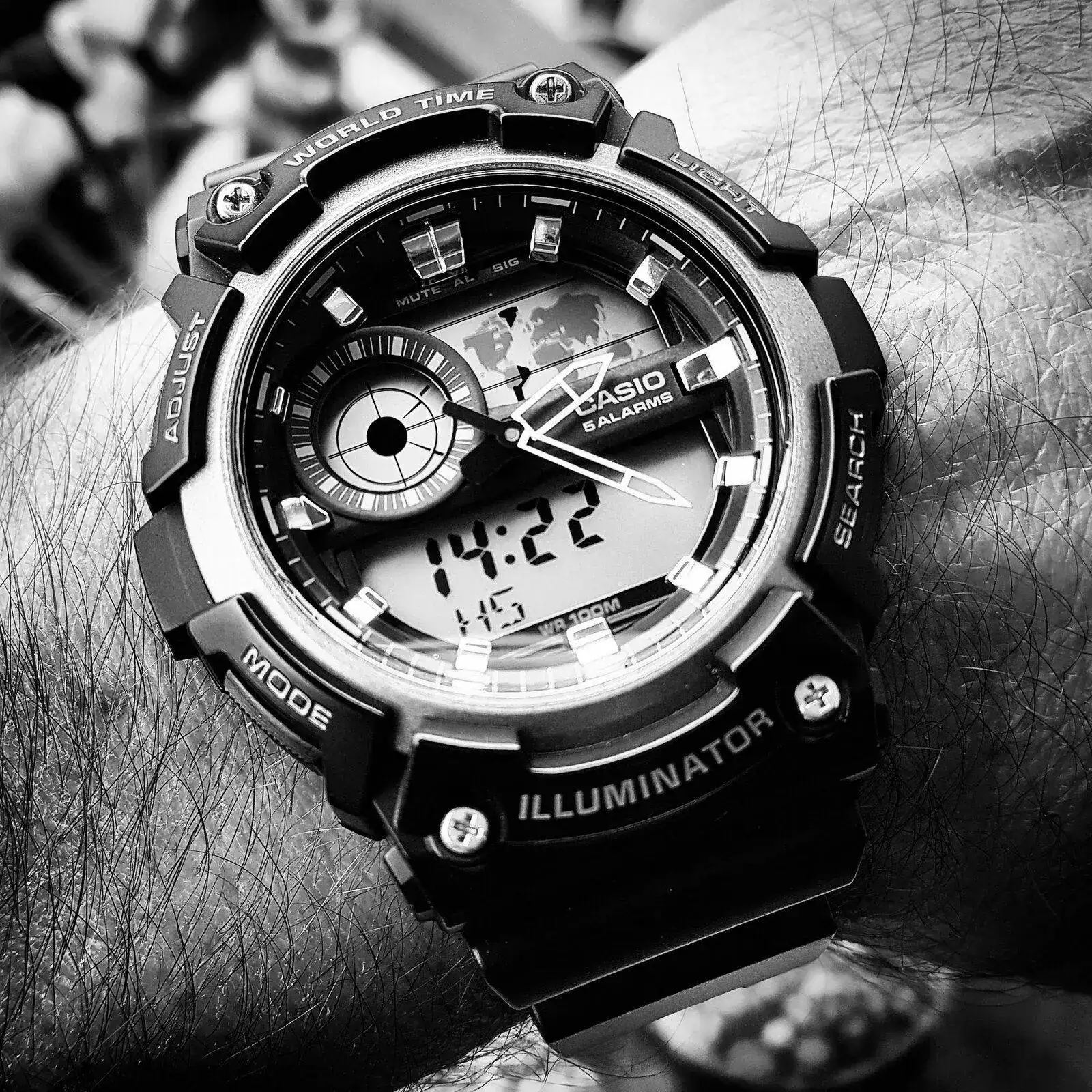 Casio AEQ-200W-1A (B&W) (1).webp