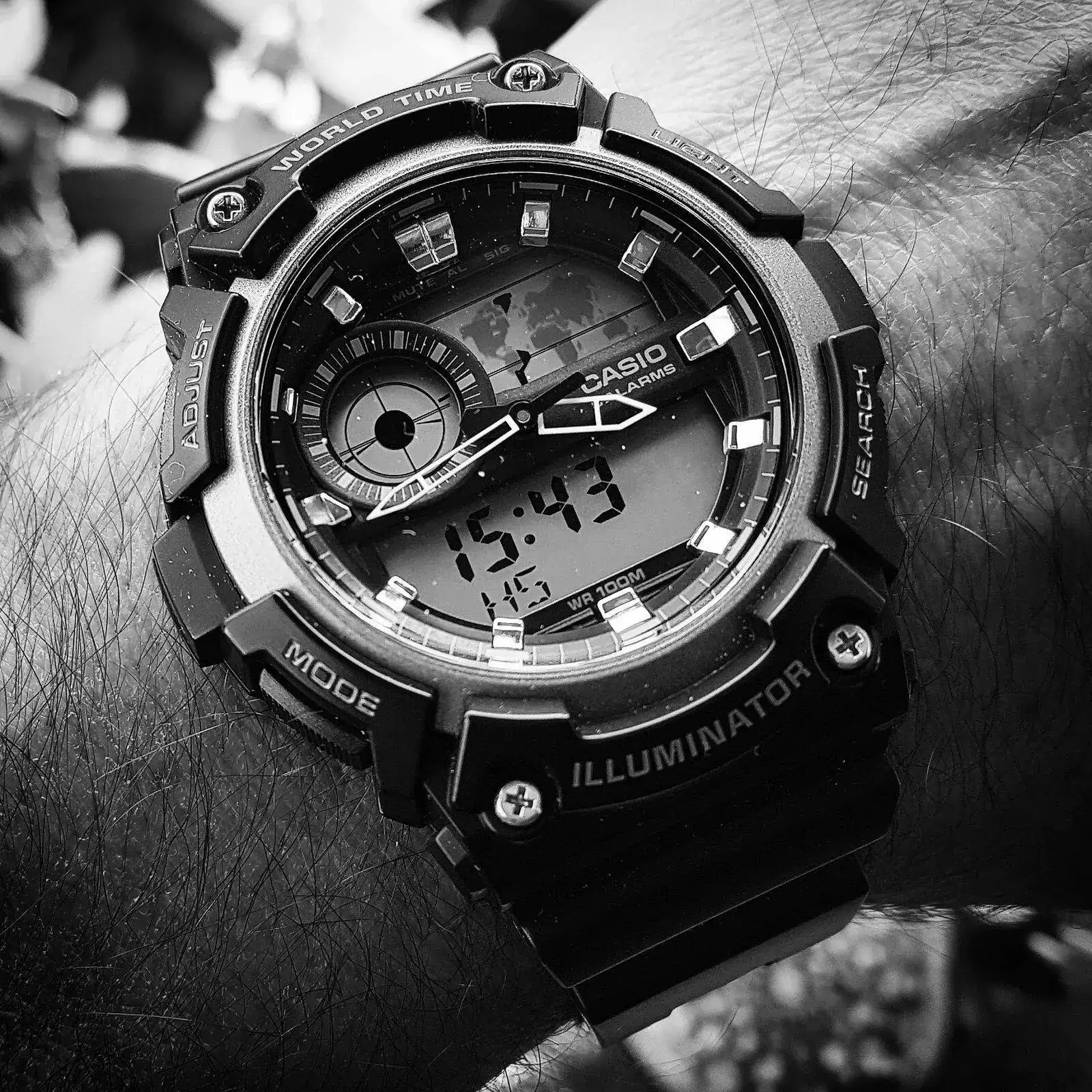 Casio AEQ-200W-1A (B&W) (1).jpg