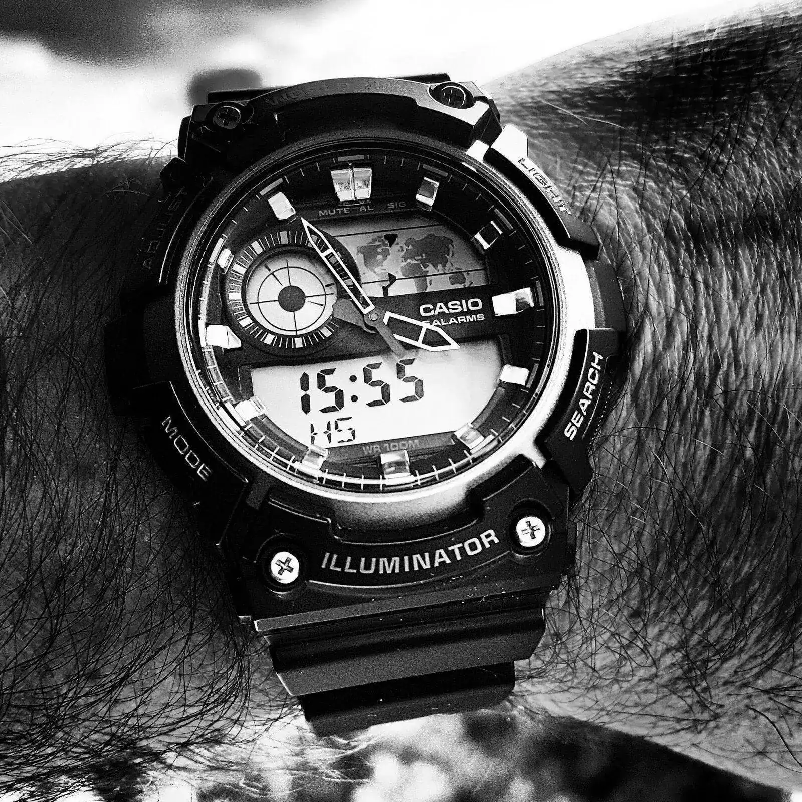 Casio AEQ-200W-1A (B&W).webp