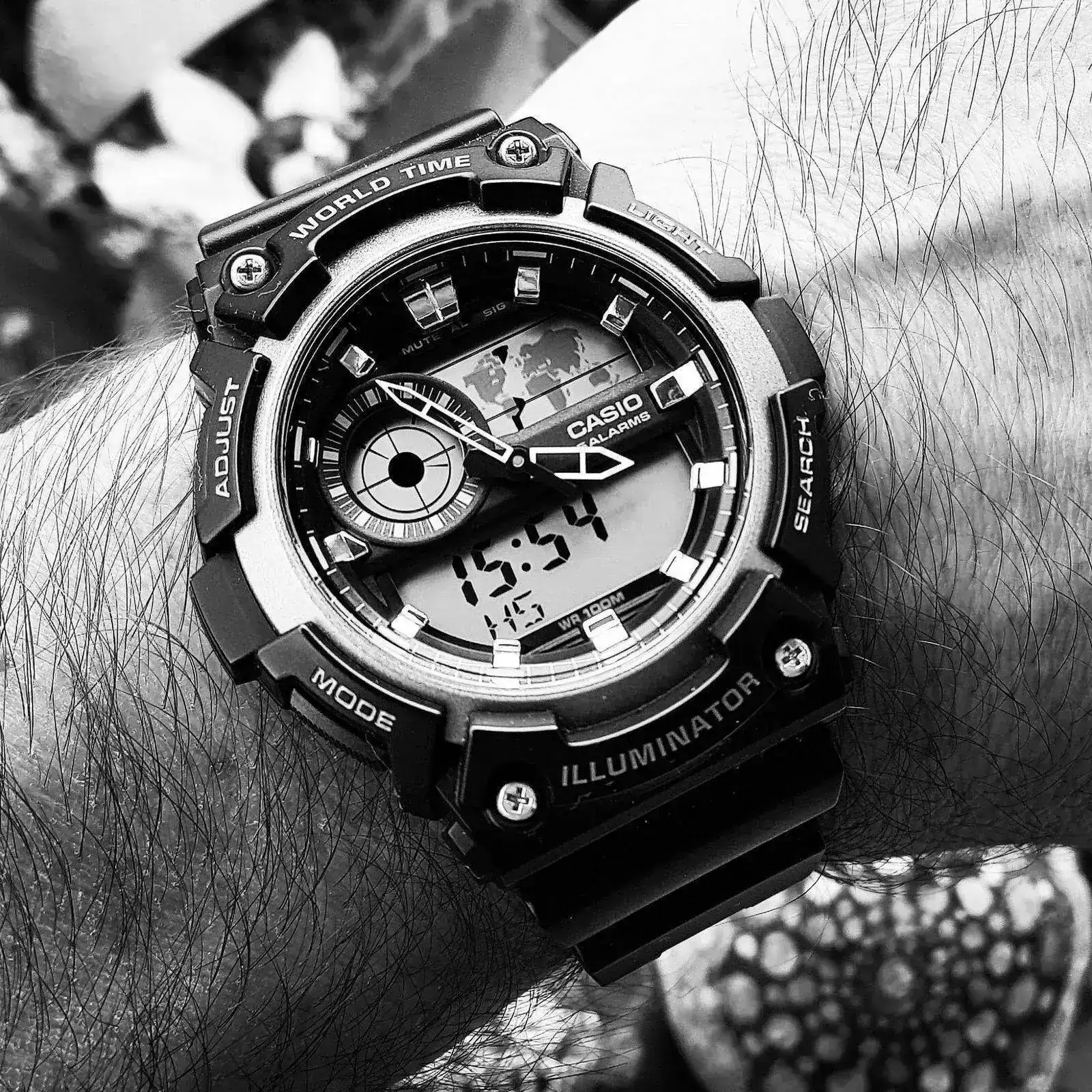 Casio AEQ-200W-1A (B&W).webp