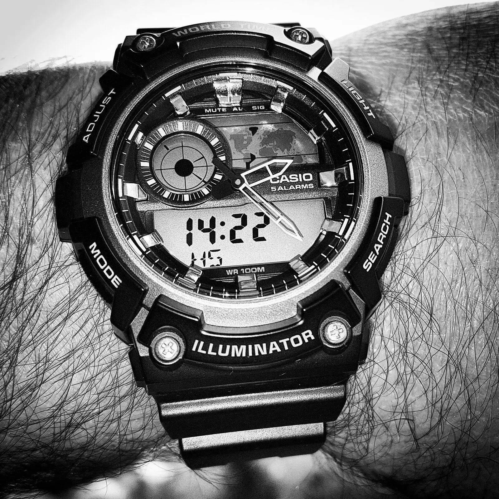 Casio AEQ-200W-1A (B&W).webp