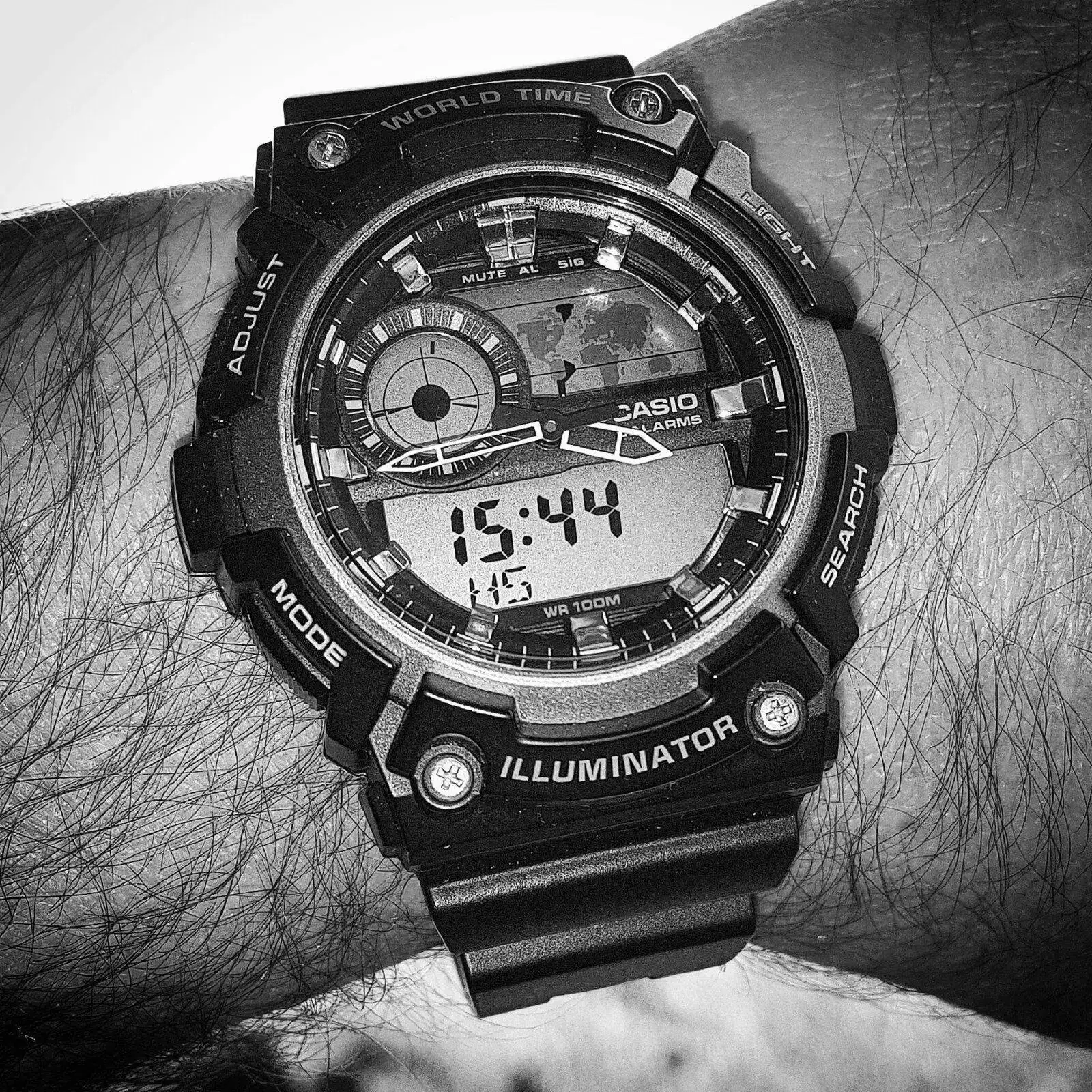 Casio AEQ-200W-1A (B&W).webp