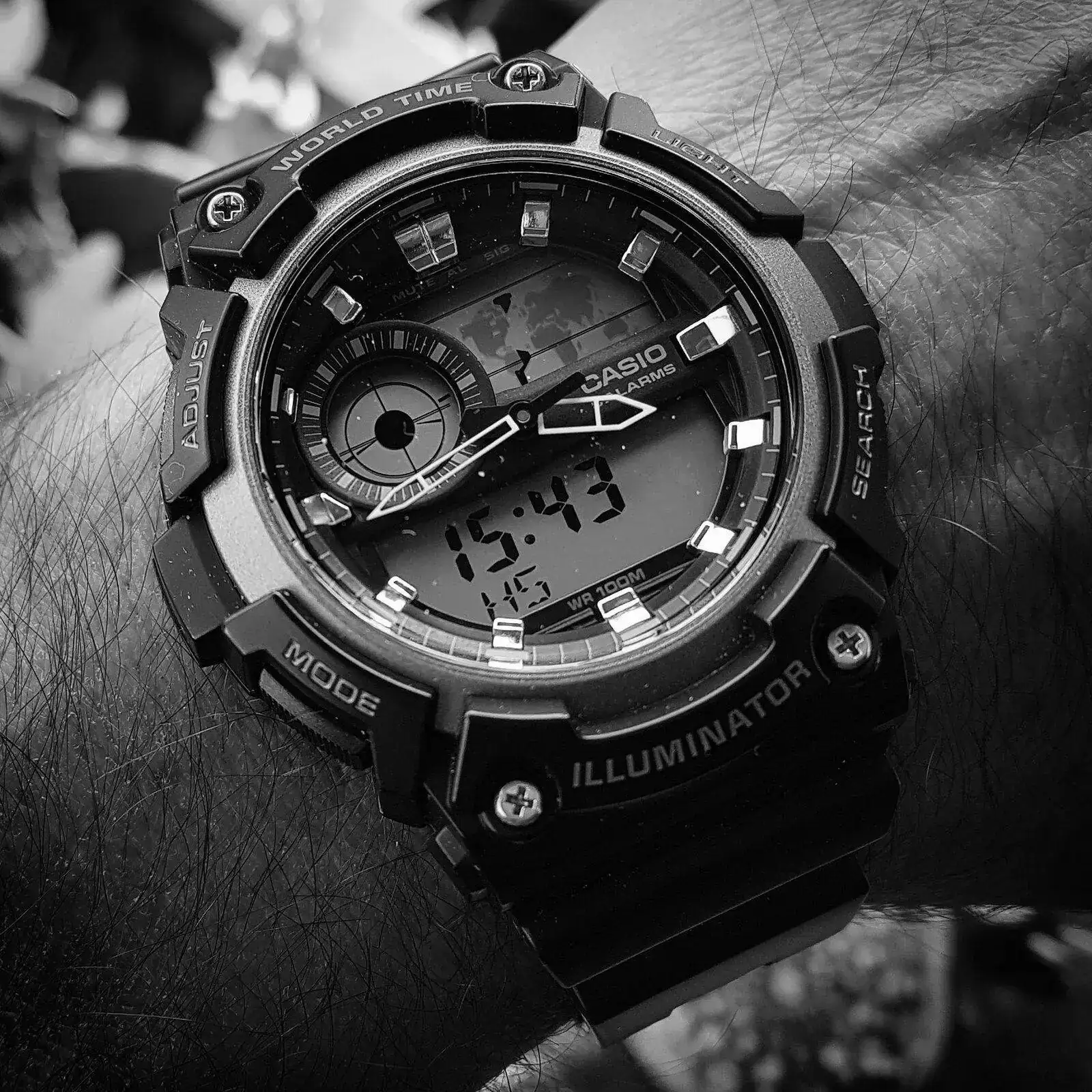 Casio AEQ-200W-1A (ByN).webp