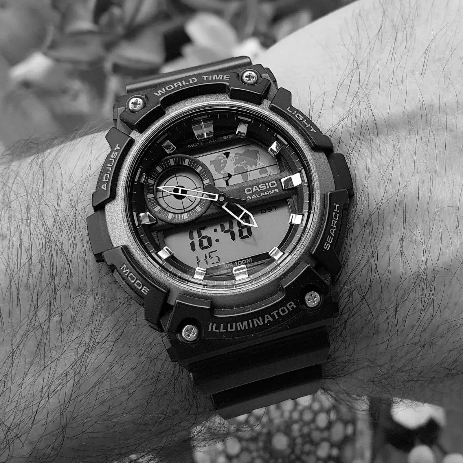 Casio AEQ-200W-1A (ByN).webp