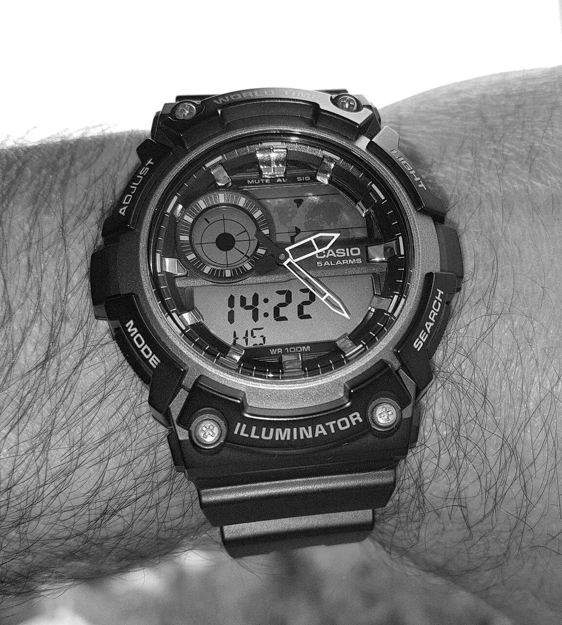 Casio AEQ-200W-1A (ByN).webp