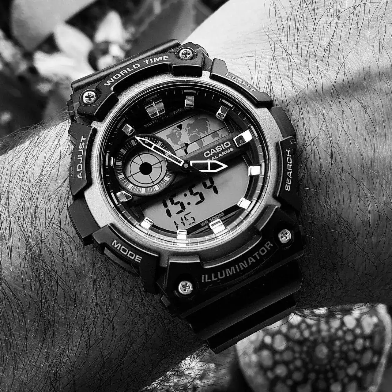 Casio AEQ-200W-1A (ByN).webp