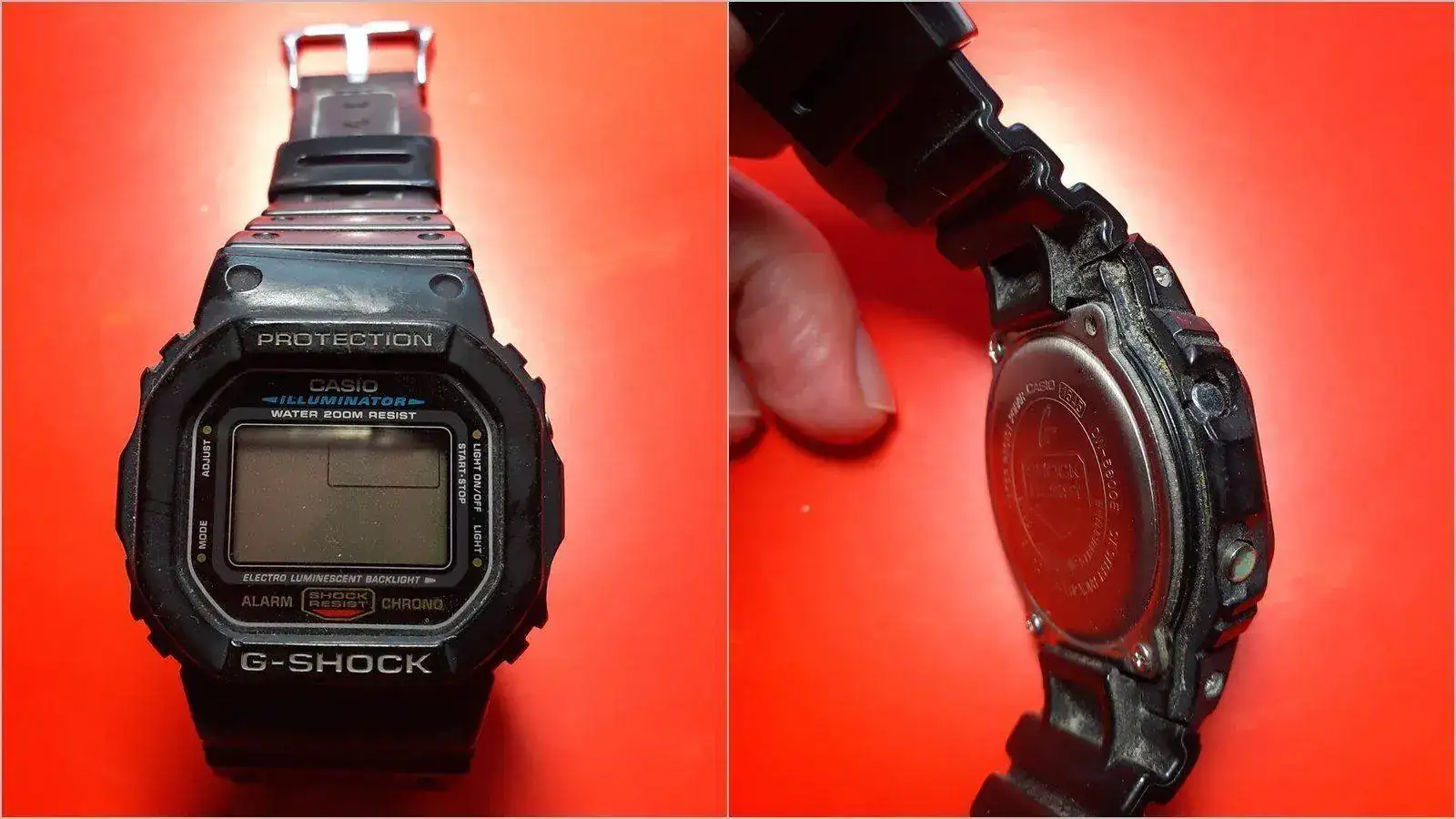 Casio.webp