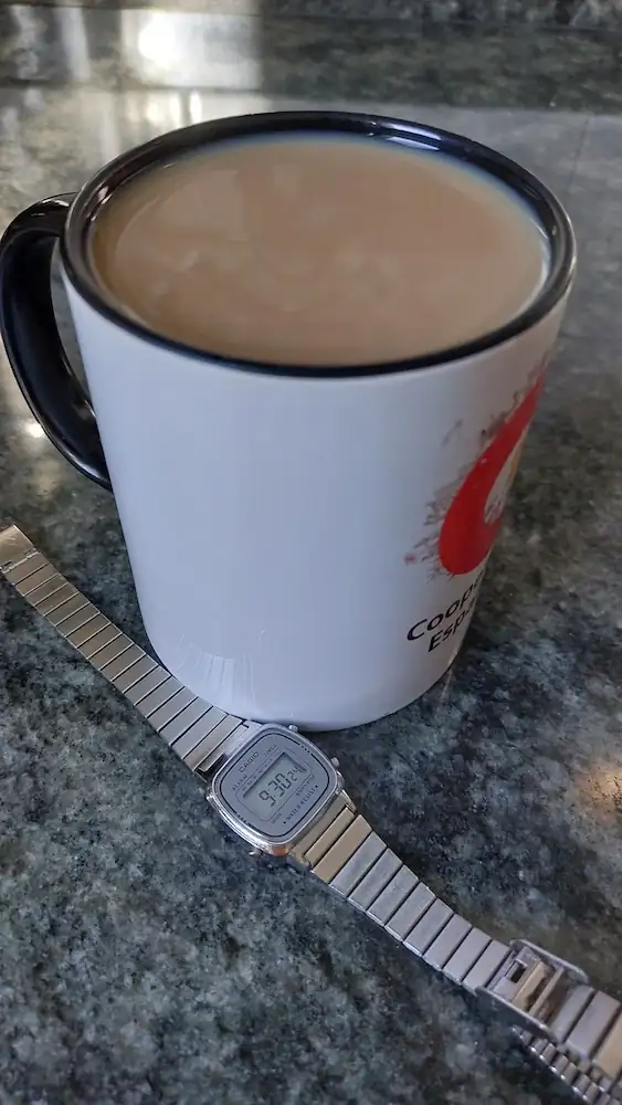 Casio.webp
