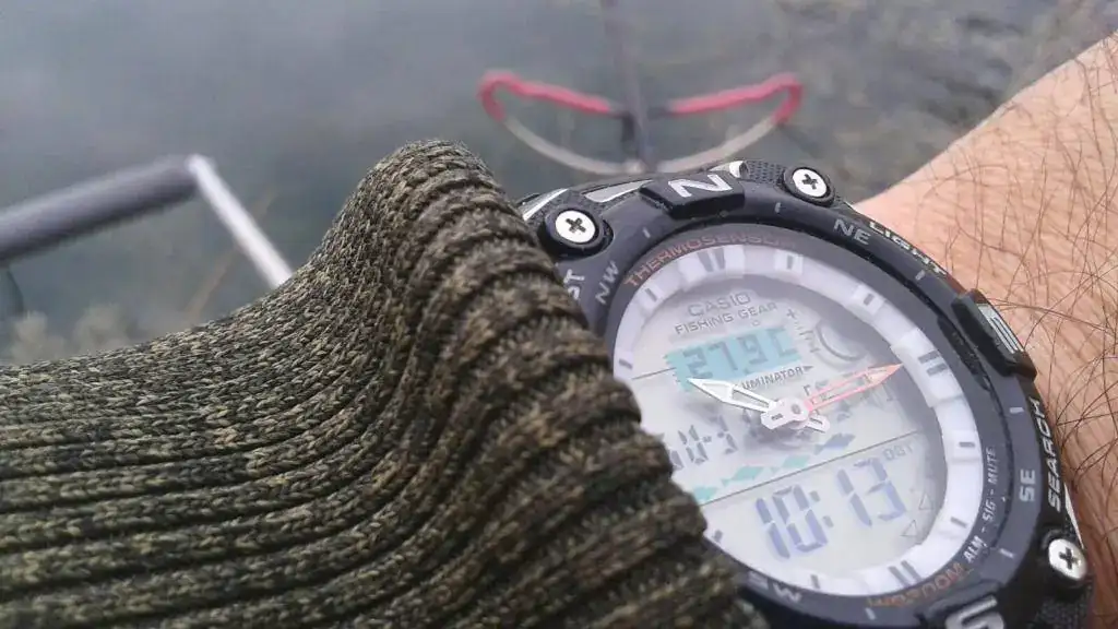 Casio.webp