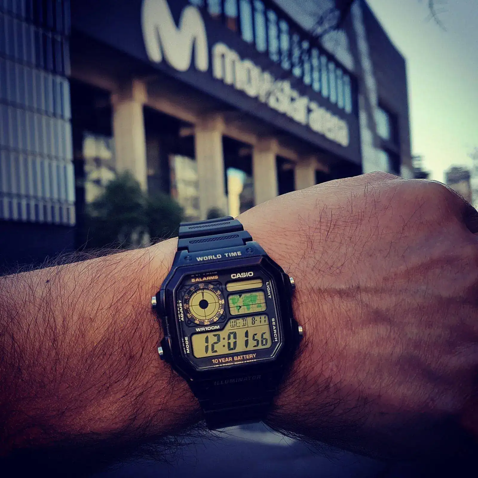 Casio WT (3).webp