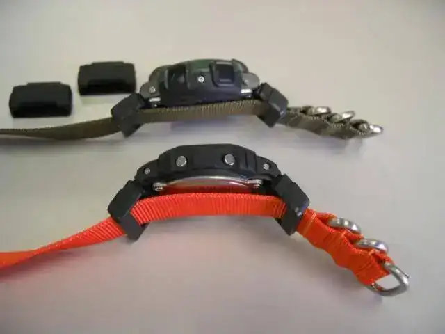 casio2.webp