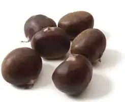 castanea-sativa-castanas.webp