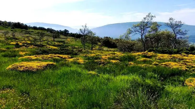 CASTILLA-.webp