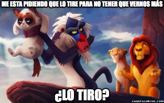 -cat-con-grumpy-simba-el-rey-leon-hubiera-sido-muy.webp