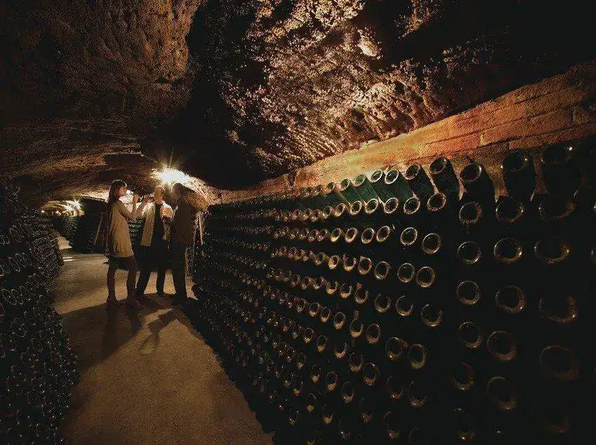 Cata-vino-bodega-Sant-Josep-las-Caves-Codorniu.webp