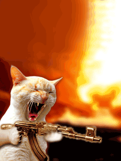 catassasin_9bjhxfx2.gif