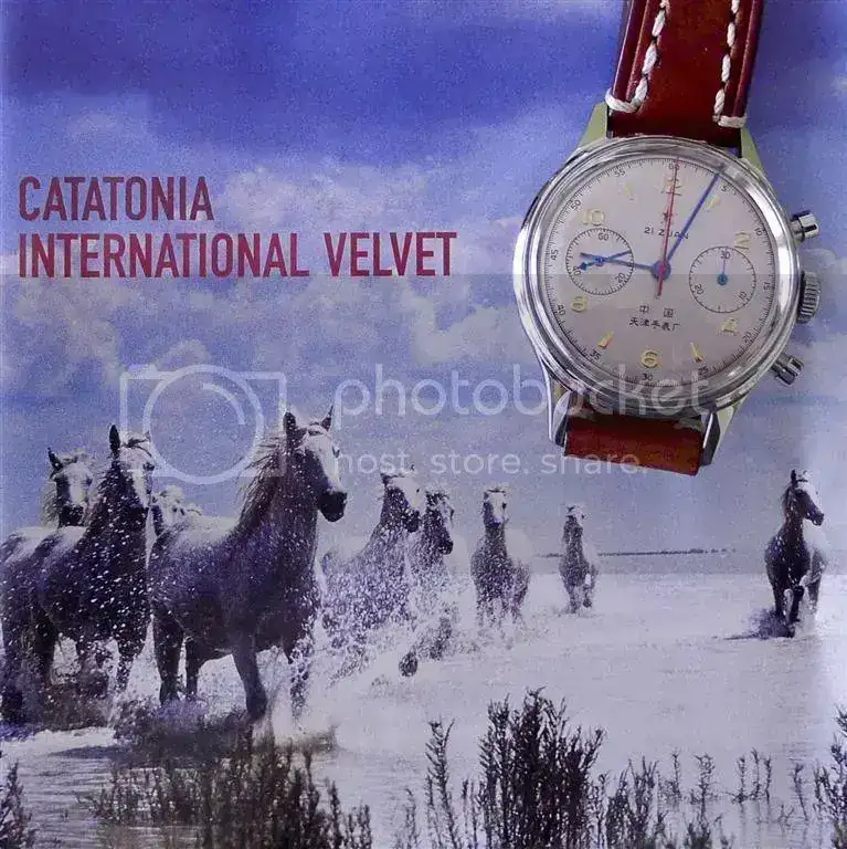 catatonia.webp