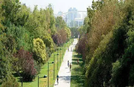 cauce-del-turia.webp