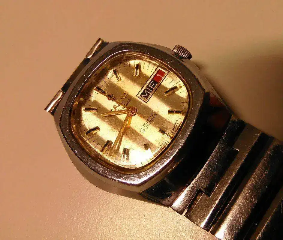 Cauny-nautilus.webp