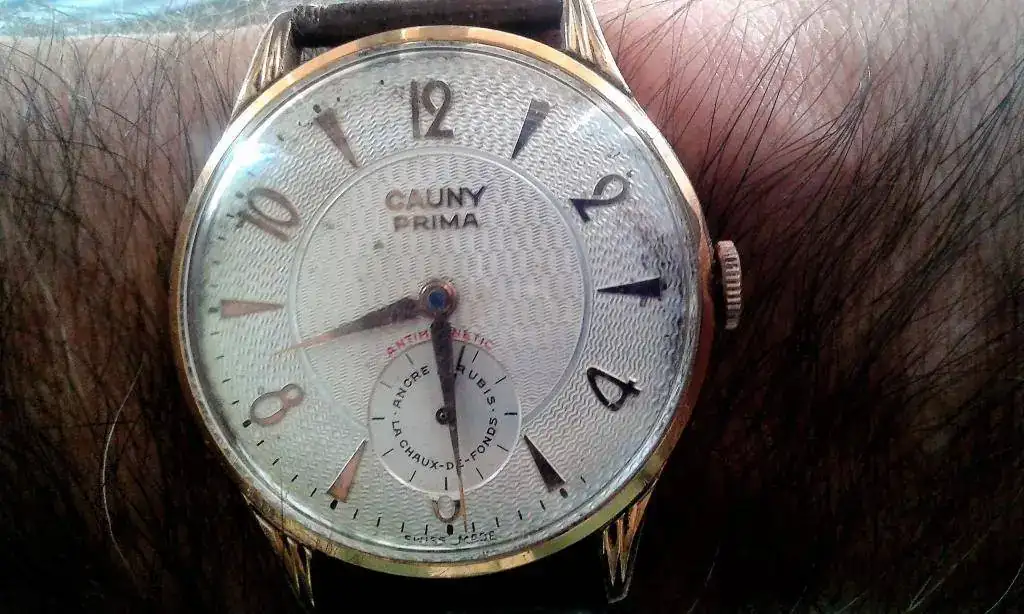 CAUNY PRIMA LANDERON 203 (3).webp