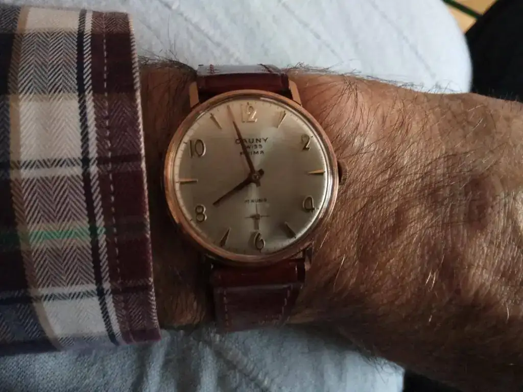 CAUNY UNITAS 6310N AL CANELL.webp