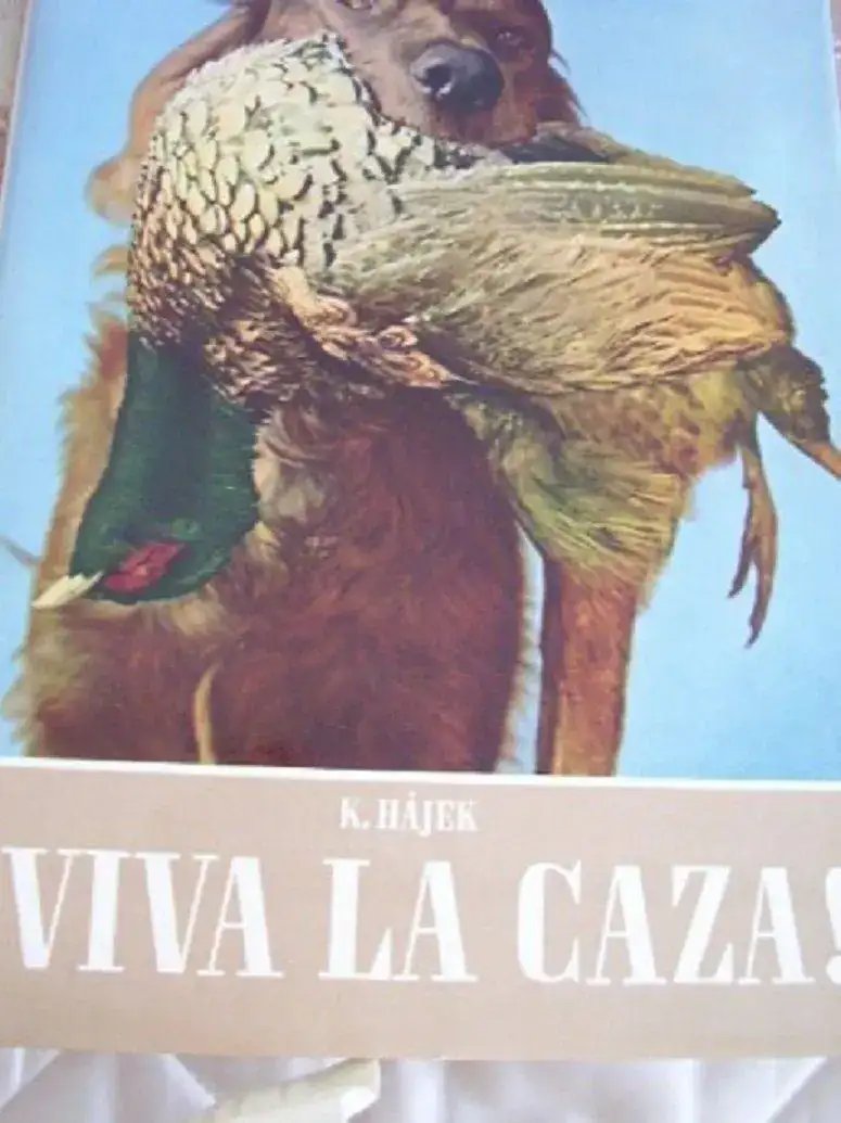 caza.webp