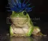 cb0cf44ad616f8ec5204753ccdec9292_zps6ea27c27.webp