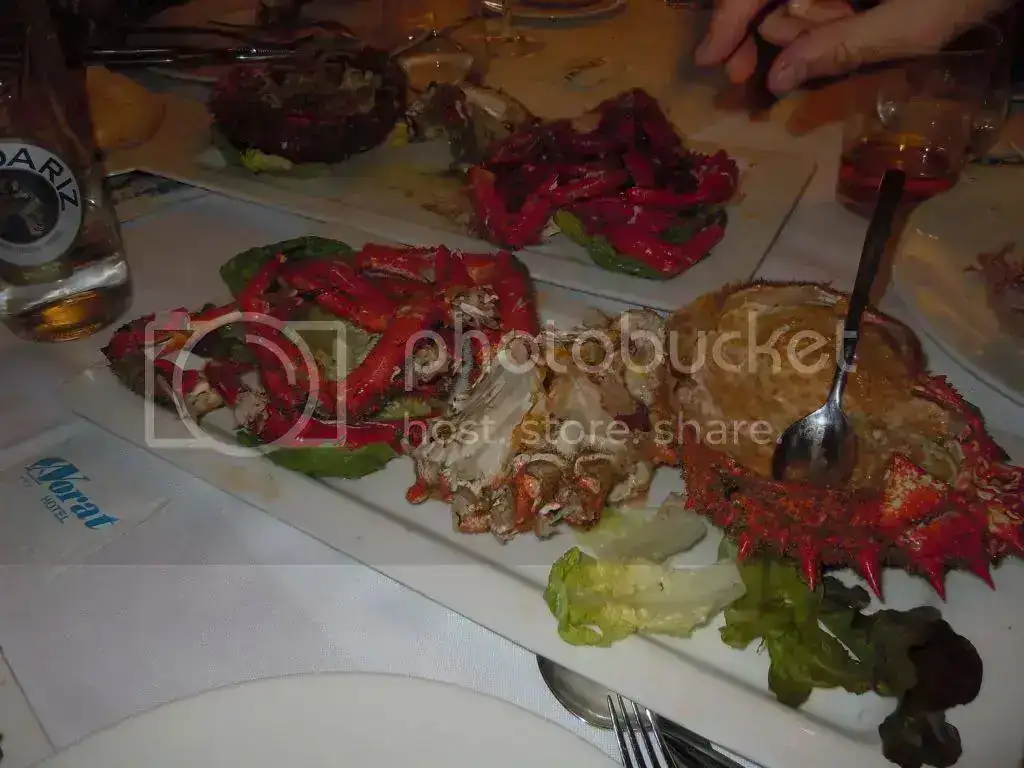cc83376a.webp
