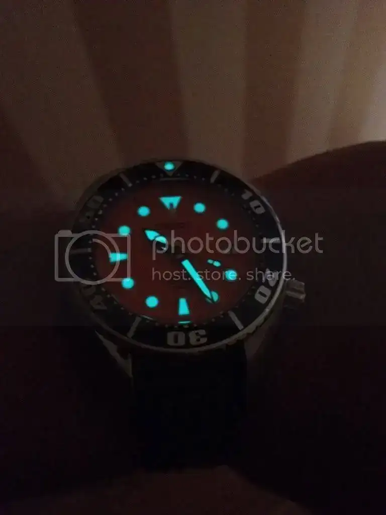 ccb524d9.webp