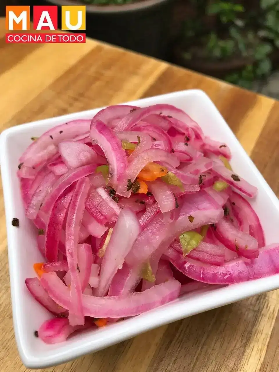 cebolla curtida 02.webp