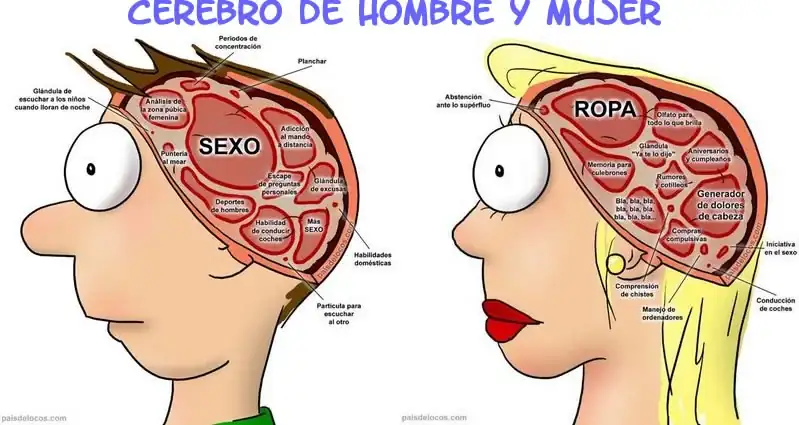 cerebro_hombre_y_mujer.webp