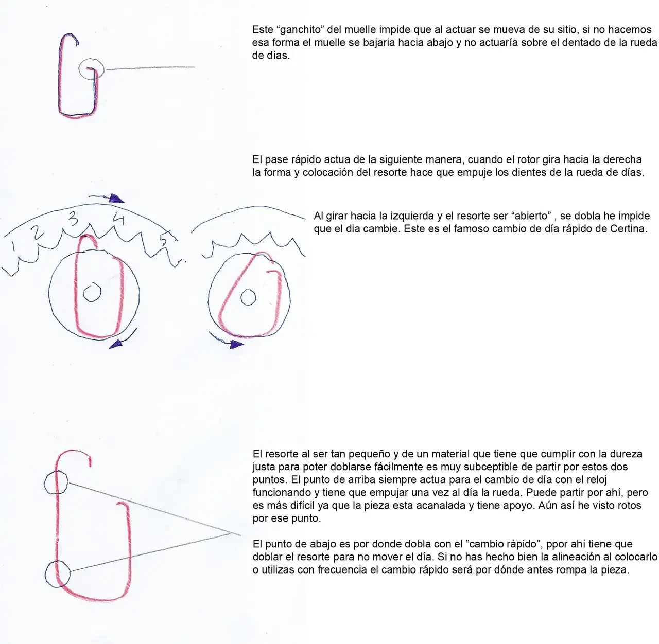 Certina 2 copia.webp