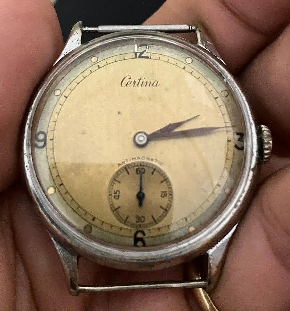 certina3.webp