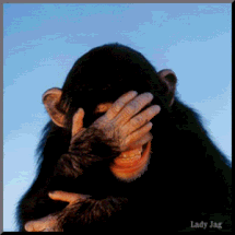 cf4f139085feef88f7b5500298984ed5.gif