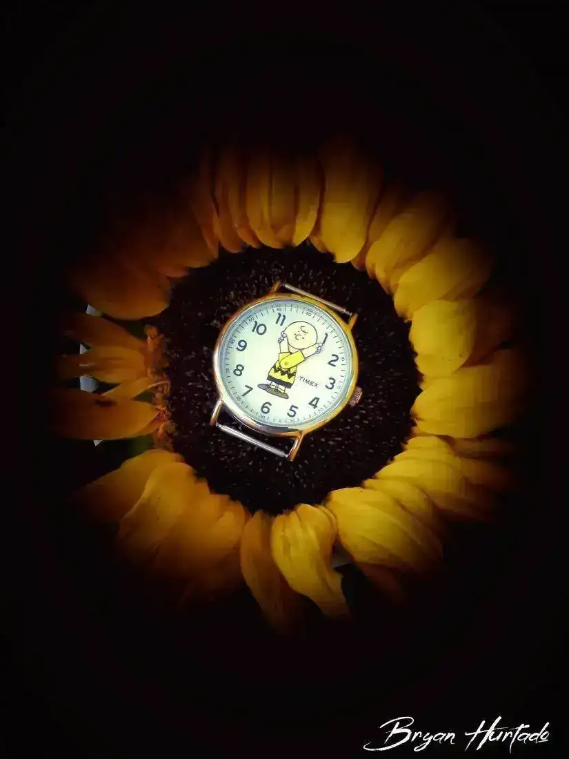 Charlie Flower One.webp