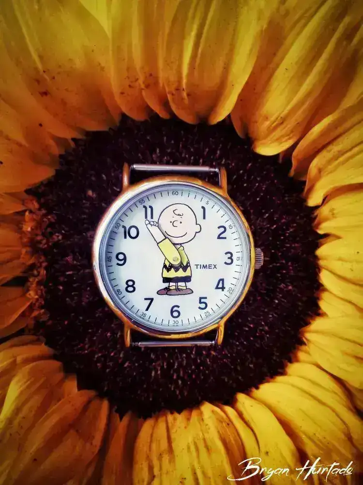 Charlie Flower Two.webp