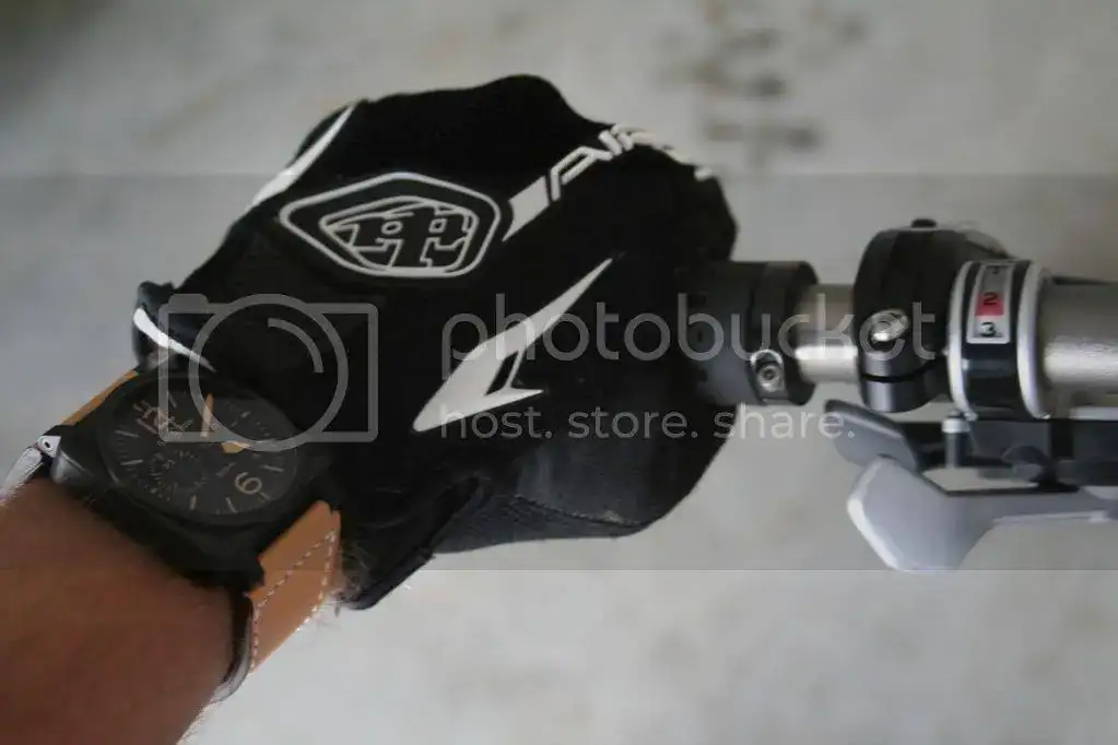 Chicken221.webp