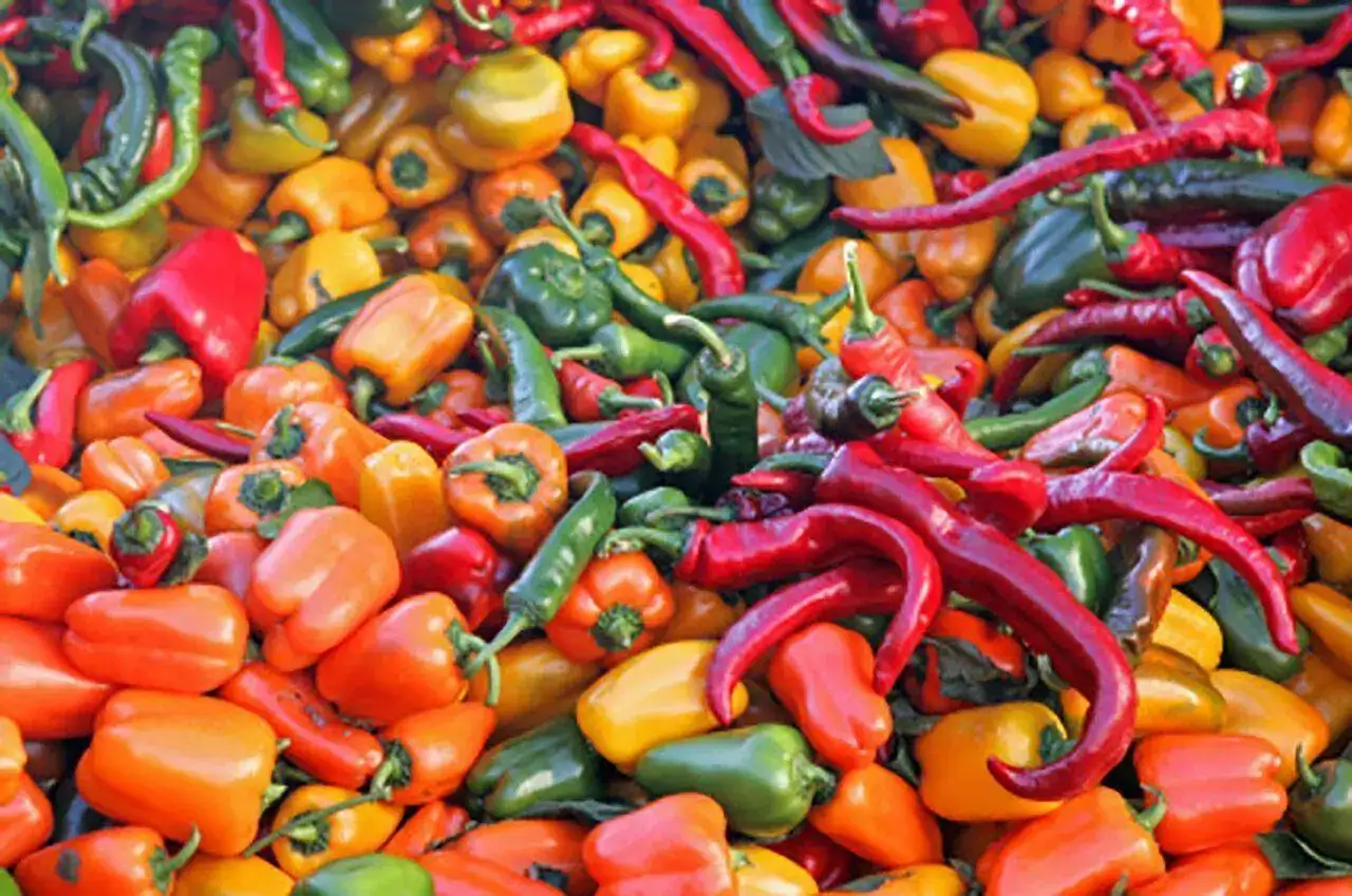 chiles_frescos.webp