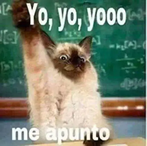 CHISTES-BUENOS-PARA-FACEBOOK.webp