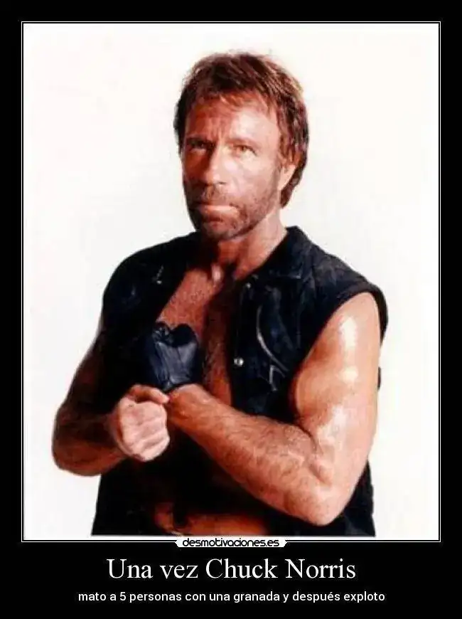 chucknorris_14.webp