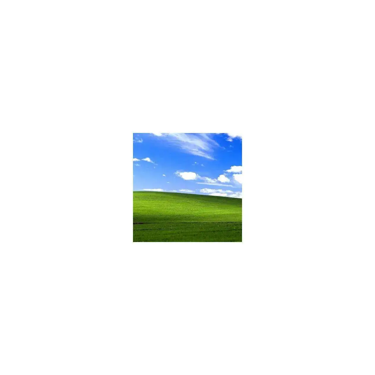 cielo.webp