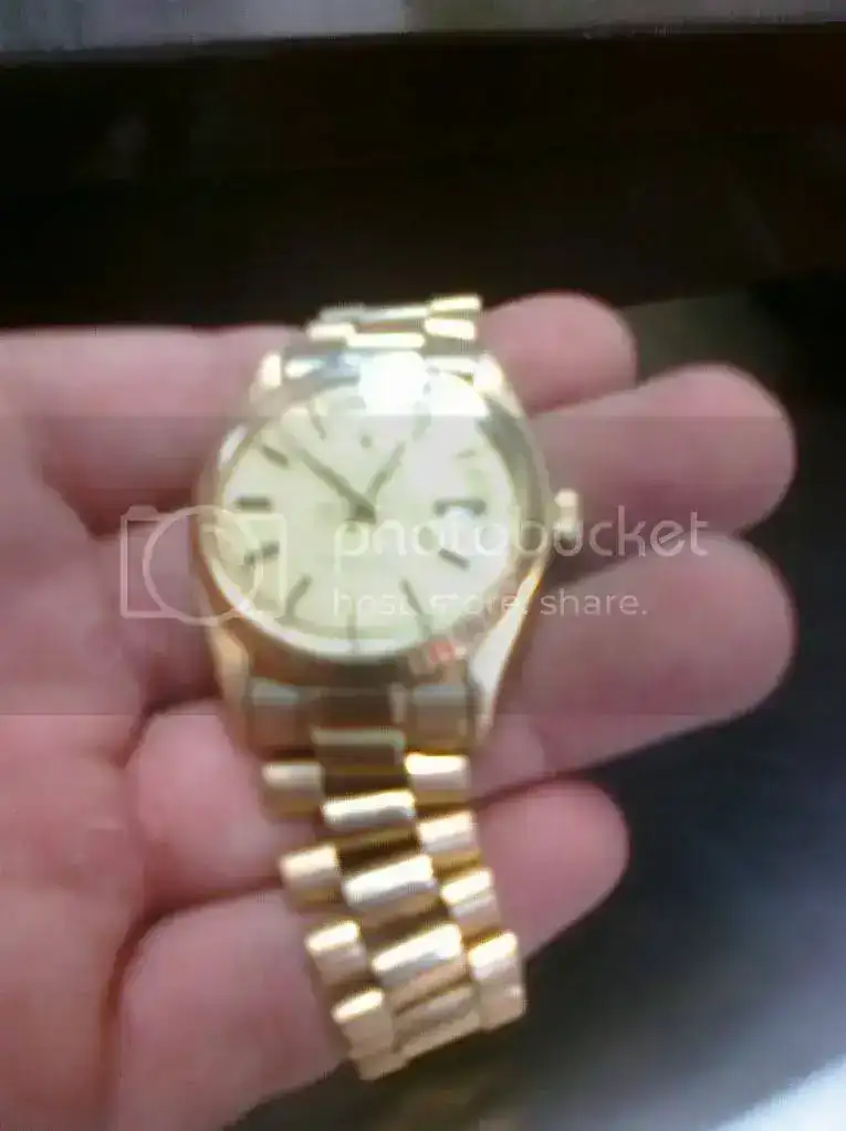 CIMG0256.webp